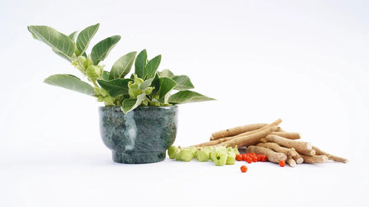 Ashwagandha Oil in Skincare: Why Mature Skin Needs This Natural Wonder - Qualerex Beauty