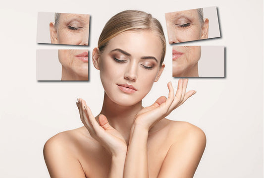 Collagen Loss: What Happens Over Time—and Why Vitamin C Matters in the Morning - Qualerex Beauty
