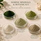 Marine minerals and botanicals including spirulina, chlorella, French green clay, kaolin clay, and rhassoul clay on a light background.