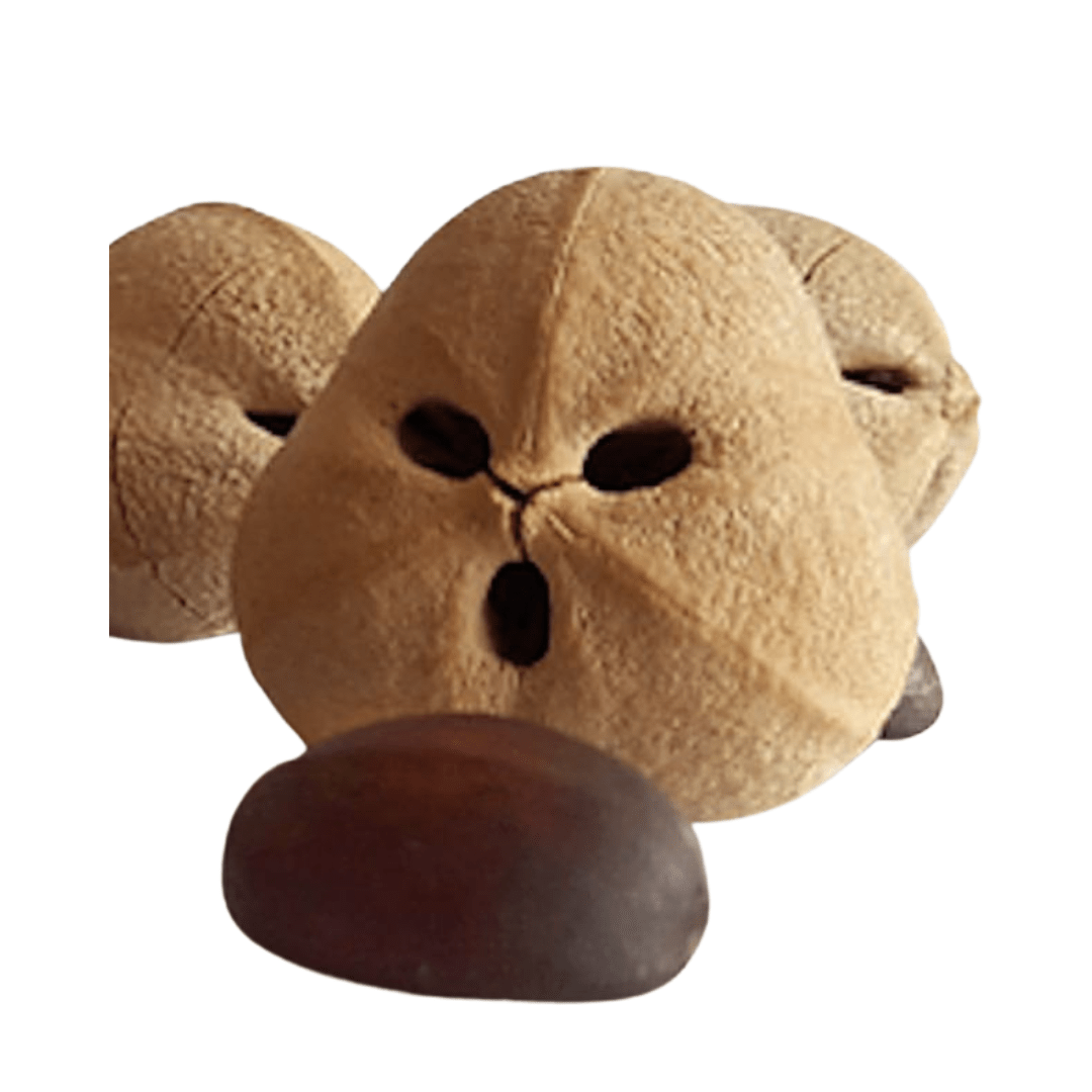 Cacay Oil • Natural Retinol Alternative • Reduce Wrinkles & Boosts Collagen Production - Qualerex Beauty