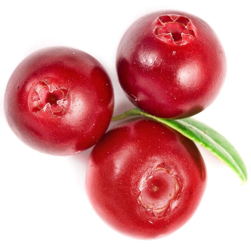 Virgin Arctic Cranberry Seed Oil (Oxycoccus Palustris) • Minimizes Fine Lines & Wrinkles • Brightens Dark Circles • Moisturizes Scalp and Hair for Improved Growth - Qualerex Beauty