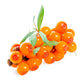 Virgin Organic Seabuckthorn Fruit Oil (Hippophae Rhamnoides) - Qualerex Beauty