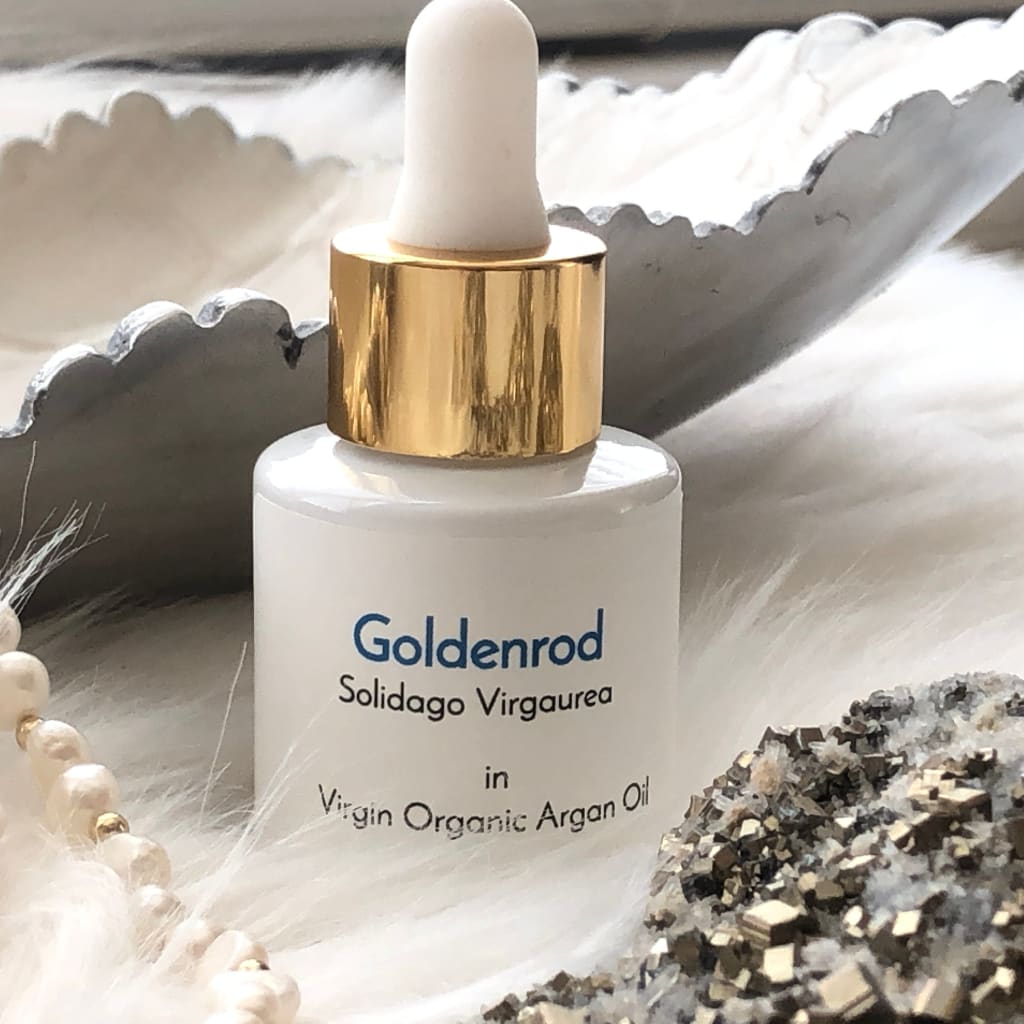 Goldenrod in Organic Virgin Argan Oil - Qualerex Beauty